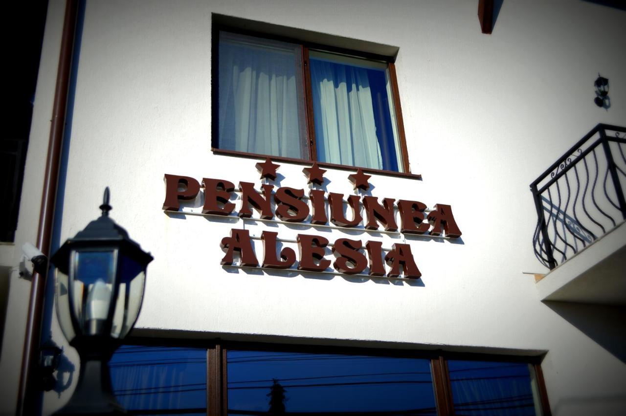 Pensiunea Alesia Pucioasa Bagian luar foto