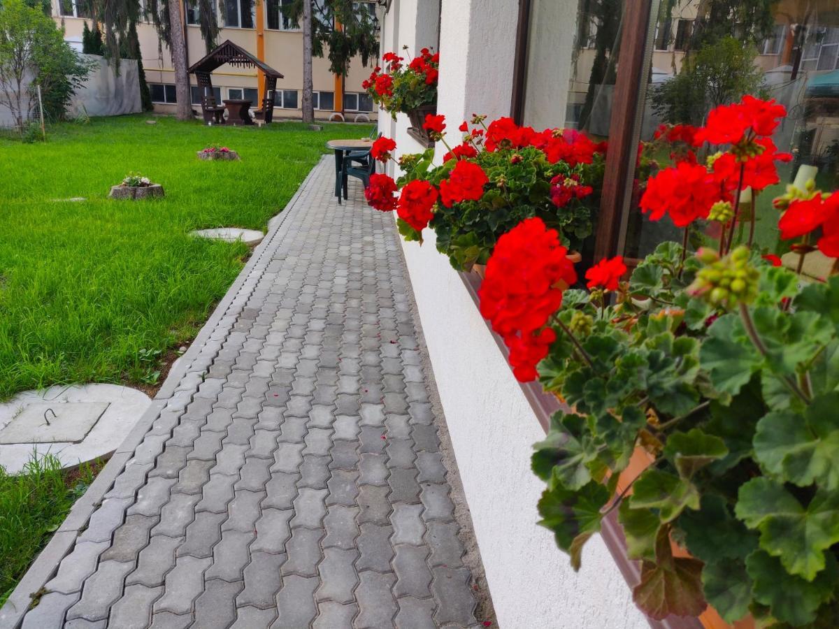 Pensiunea Alesia Pucioasa Bagian luar foto