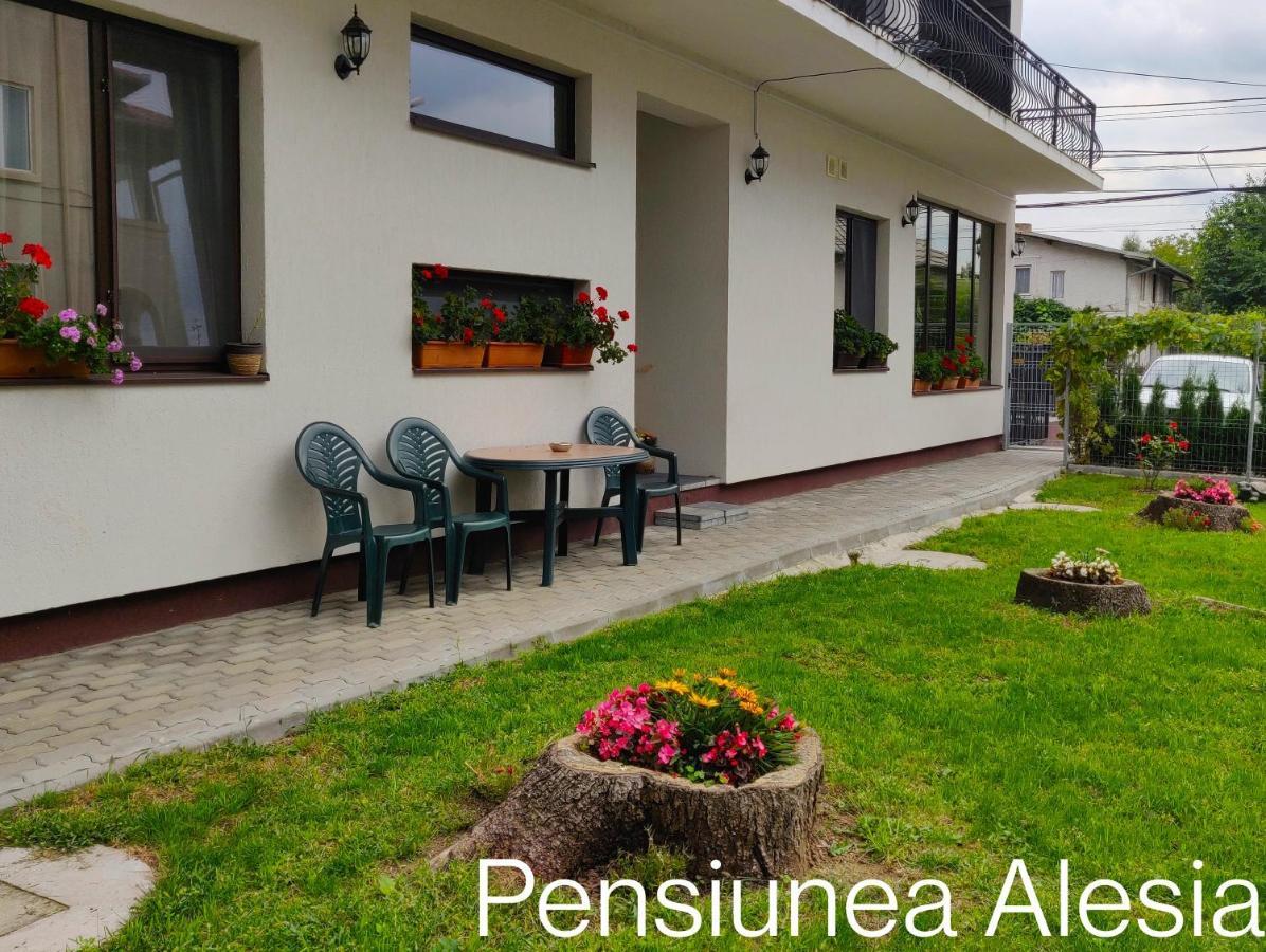 Pensiunea Alesia Pucioasa Bagian luar foto